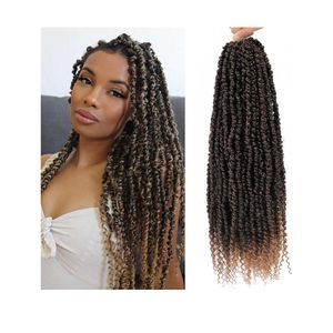 6 Pack Ombré Passion Twist Hair
